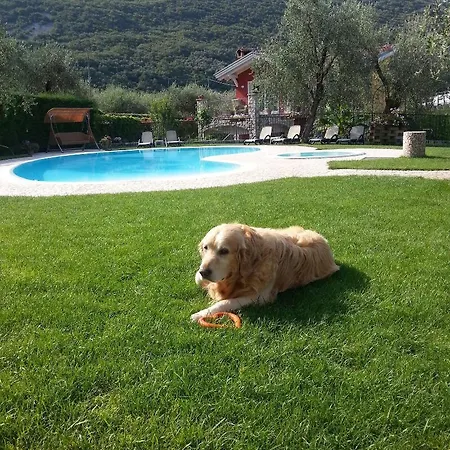 Eco Benacus Otel 3*